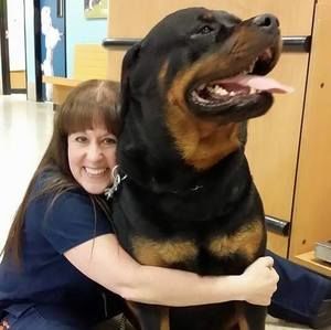 Meet your Posher, Susan